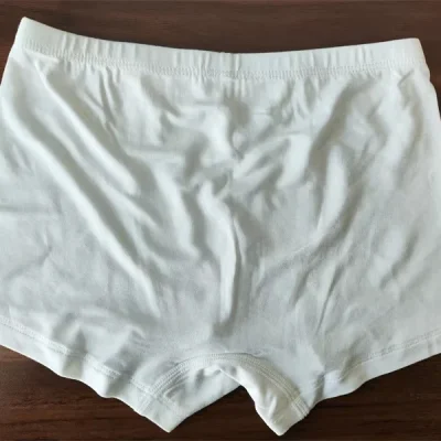 High Quality Customized Boys Underwear Softest Bamboo Boxer Shorts with Custom Print Breathable Briefs with Private Logo Label